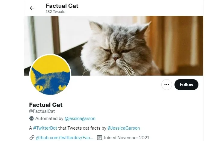 Factual Cat bot