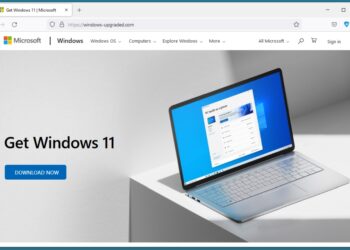 RedLine malware fake Windows 11 download