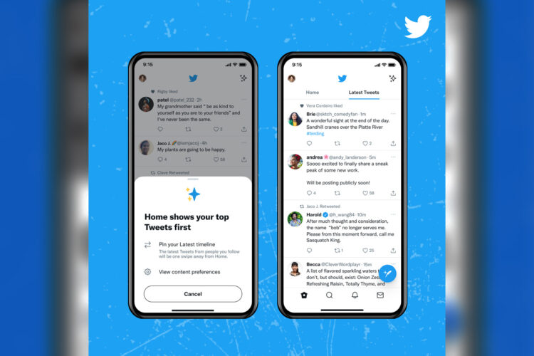 Twitter Tabbed Timeline Pull back