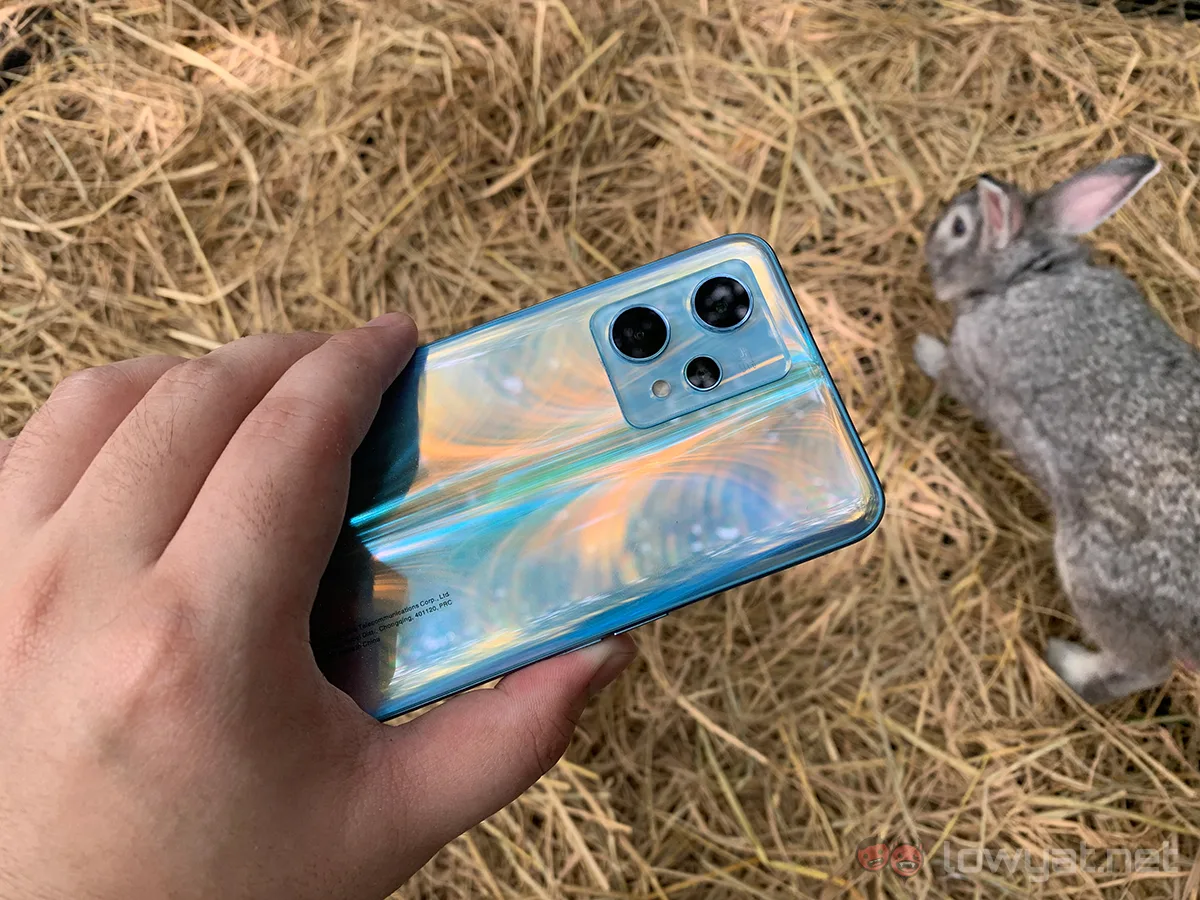 realme 9 pro+ cameras