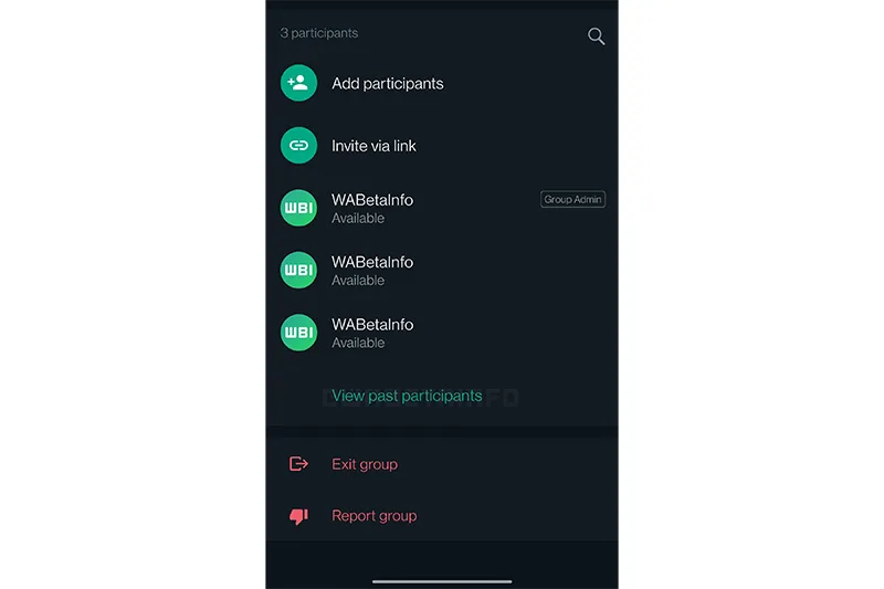 whatsapp group past participants