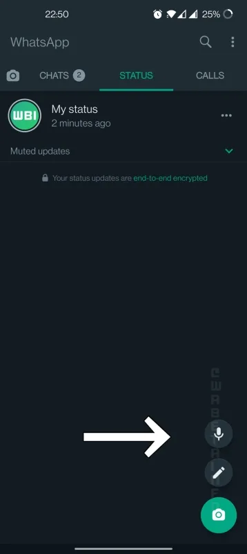 WhatsApp voice status