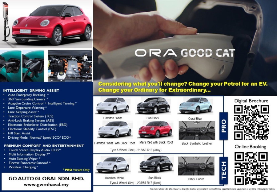 Go Auto Global Ora Good Cat EV Pamphlet