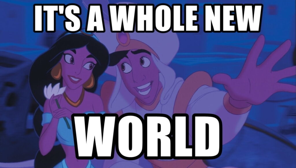 Aladdin Whole New World