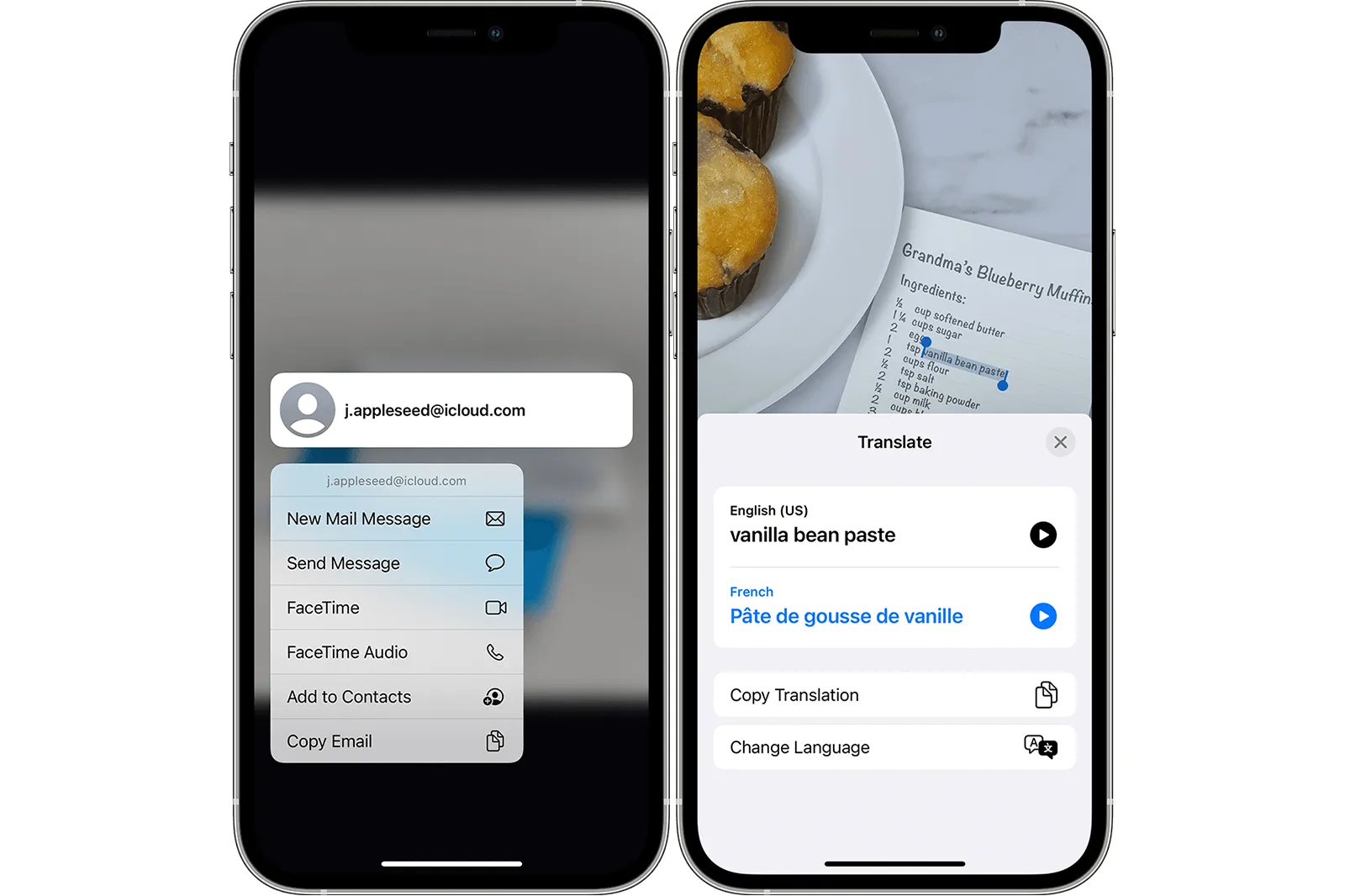 apple ios 16 live text