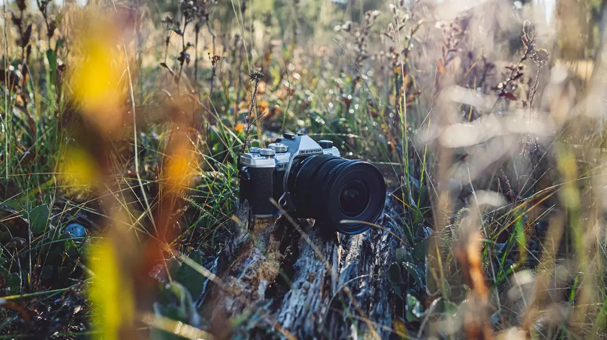 om digital solutions system OM-5 micro four thirds camera launch