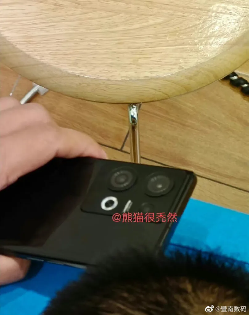 oppo reno9 design and specifications leak