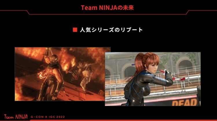 Team Ninja Ninja Gaiden DoA reboot