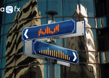 OctaFX forex investment investments