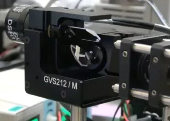 Insect laser