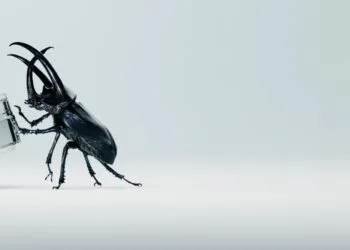 Nothing Ear (2) teaser
