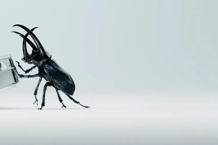 Nothing Ear (2) teaser