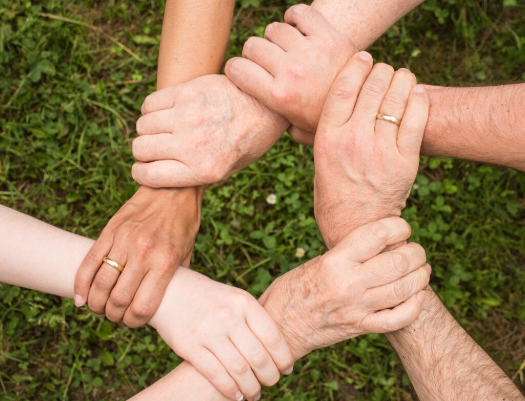 pexels pixabay hands hold01