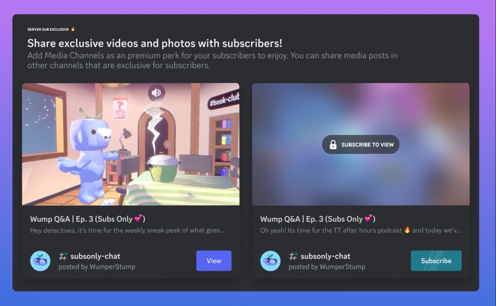 Discord media channels