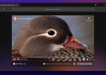 DuckDuckGo web browser Windows public beta