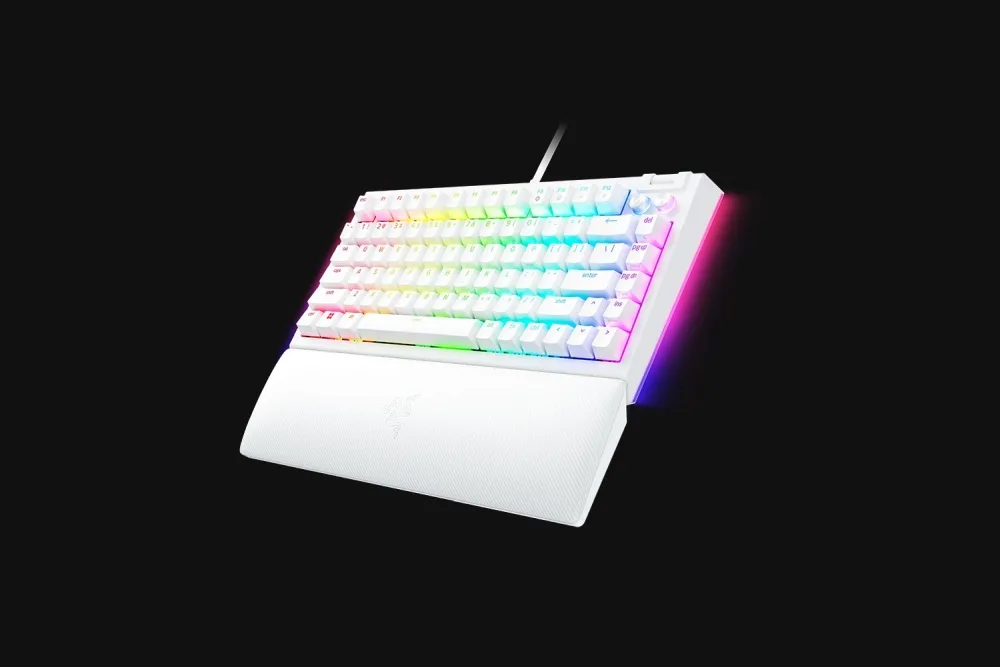 Razer BlackWidow V4 75% white