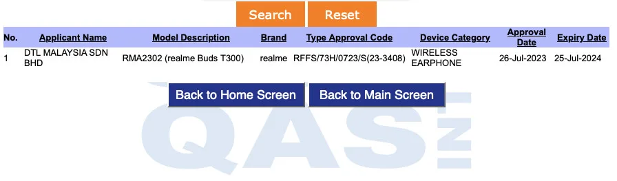 realme buds t300