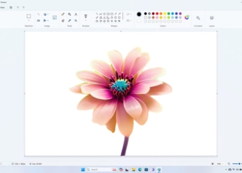 Paint_Cocreator_BackgroundRemoval
