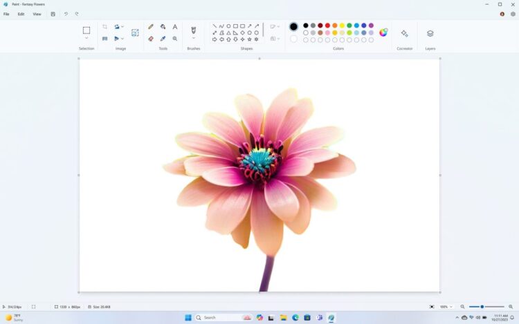 Paint_Cocreator_BackgroundRemoval