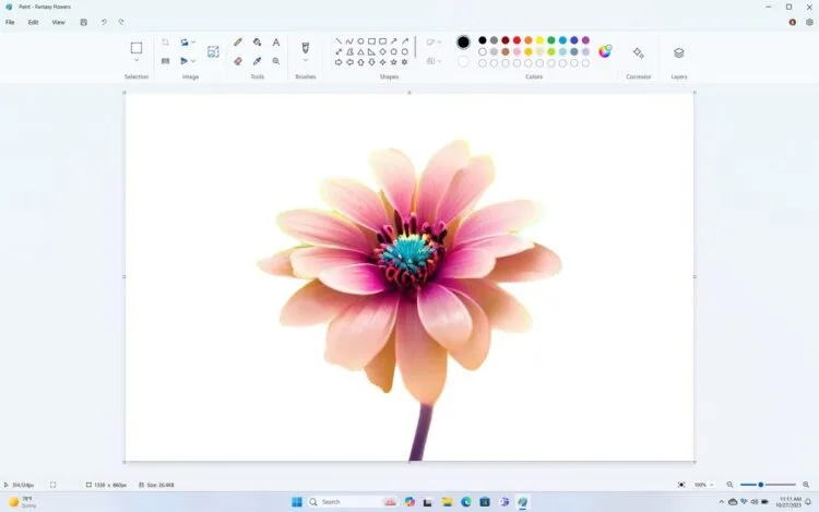 Paint_Cocreator_BackgroundRemoval