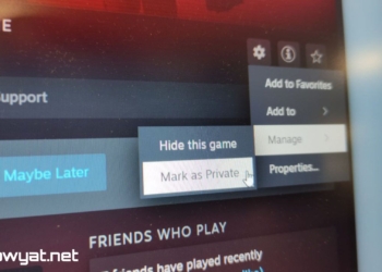Steam