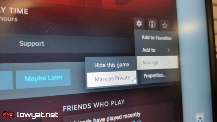 Steam