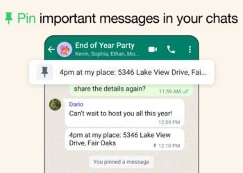 WhatsApp Pinned Messages example