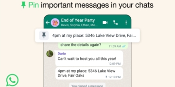 WhatsApp Pinned Messages example