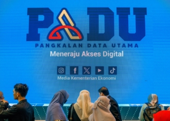 padu security flaw vulnerability