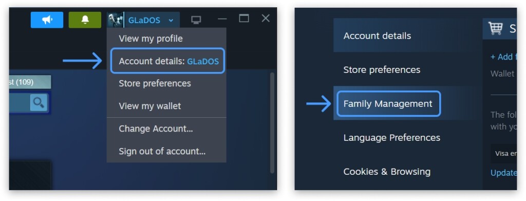 Steam Families management