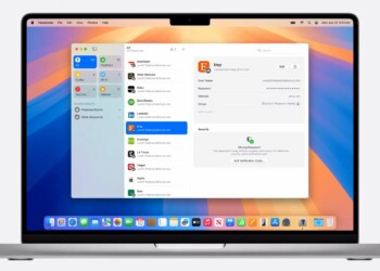 Apple Passwords UI