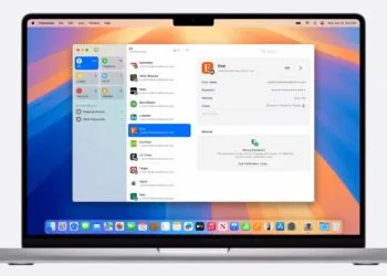 Apple Passwords UI