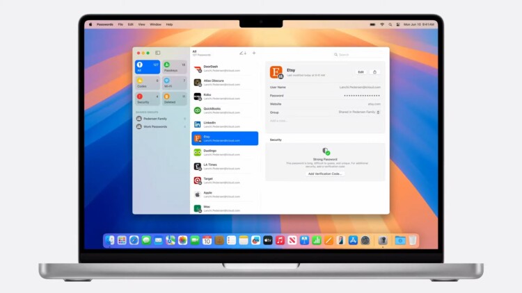 Apple Passwords UI
