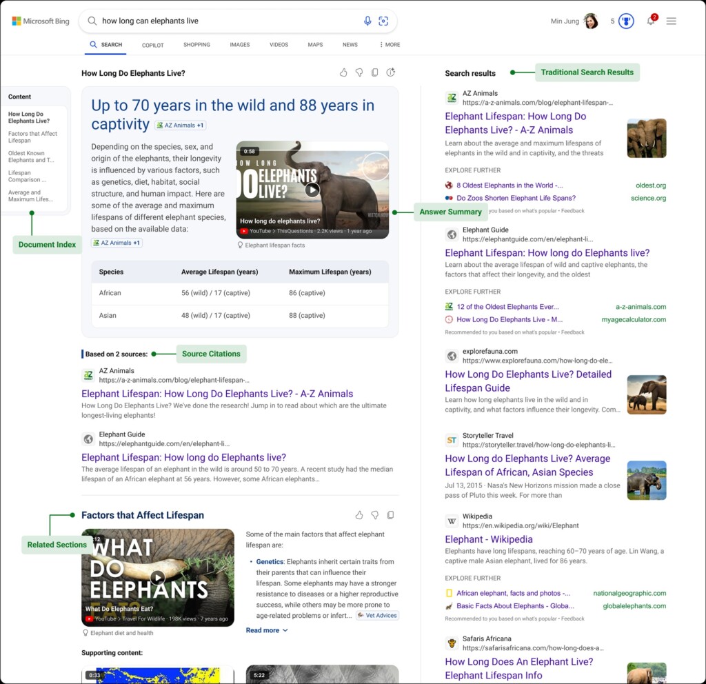 Microsoft Bing AI summary