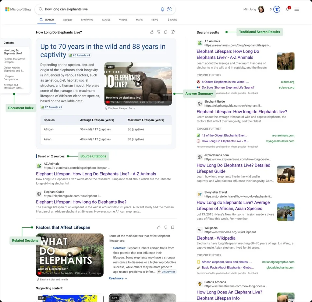 Microsoft Bing AI summary
