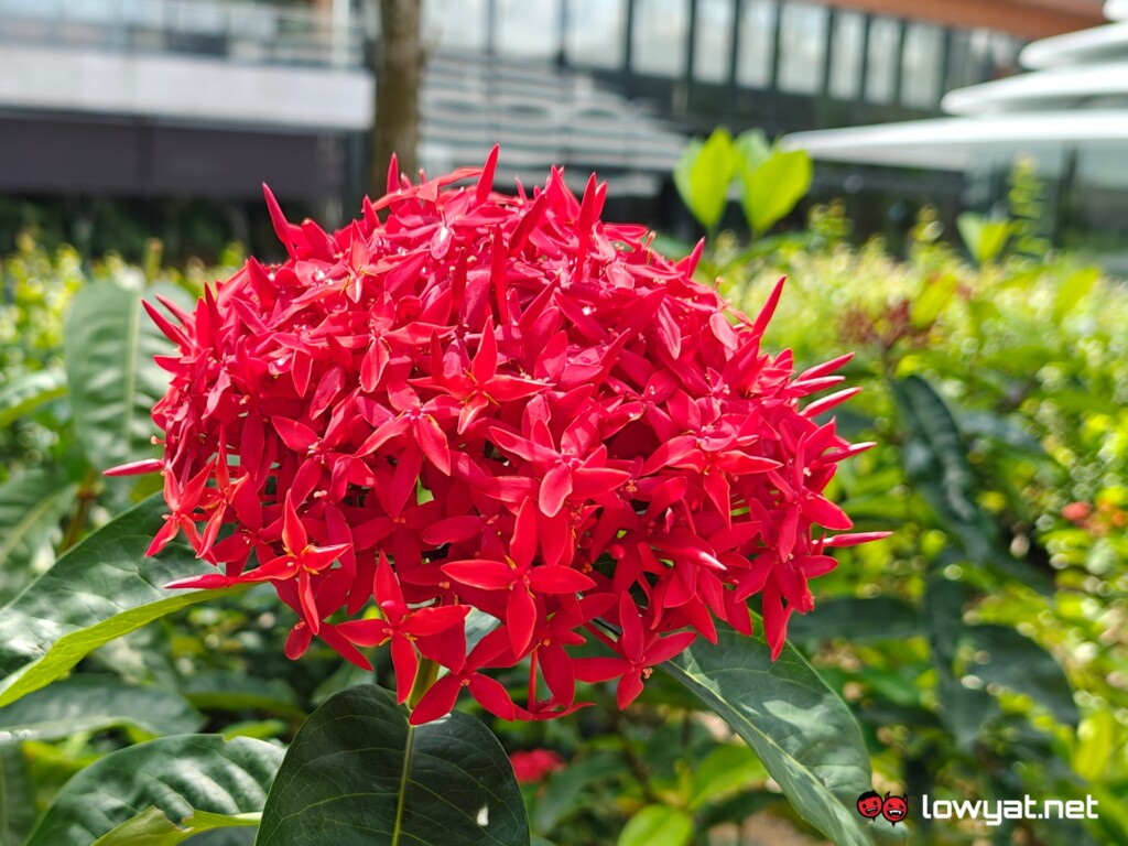 realme GT 6 review