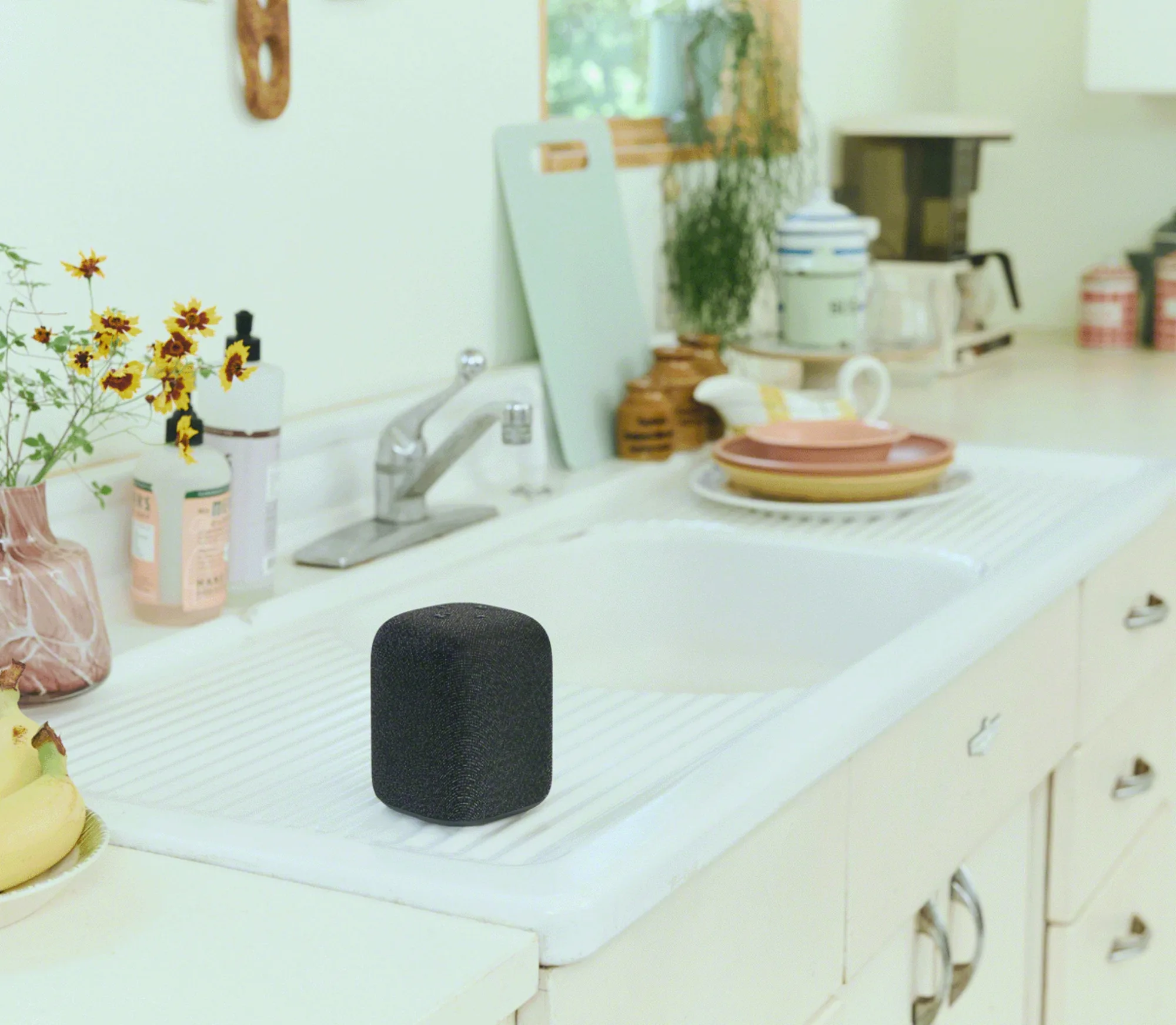 Sony LinkBuds Speaker