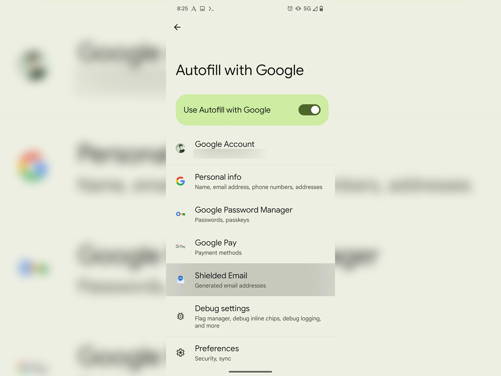 Google Gmail Shielded Email
