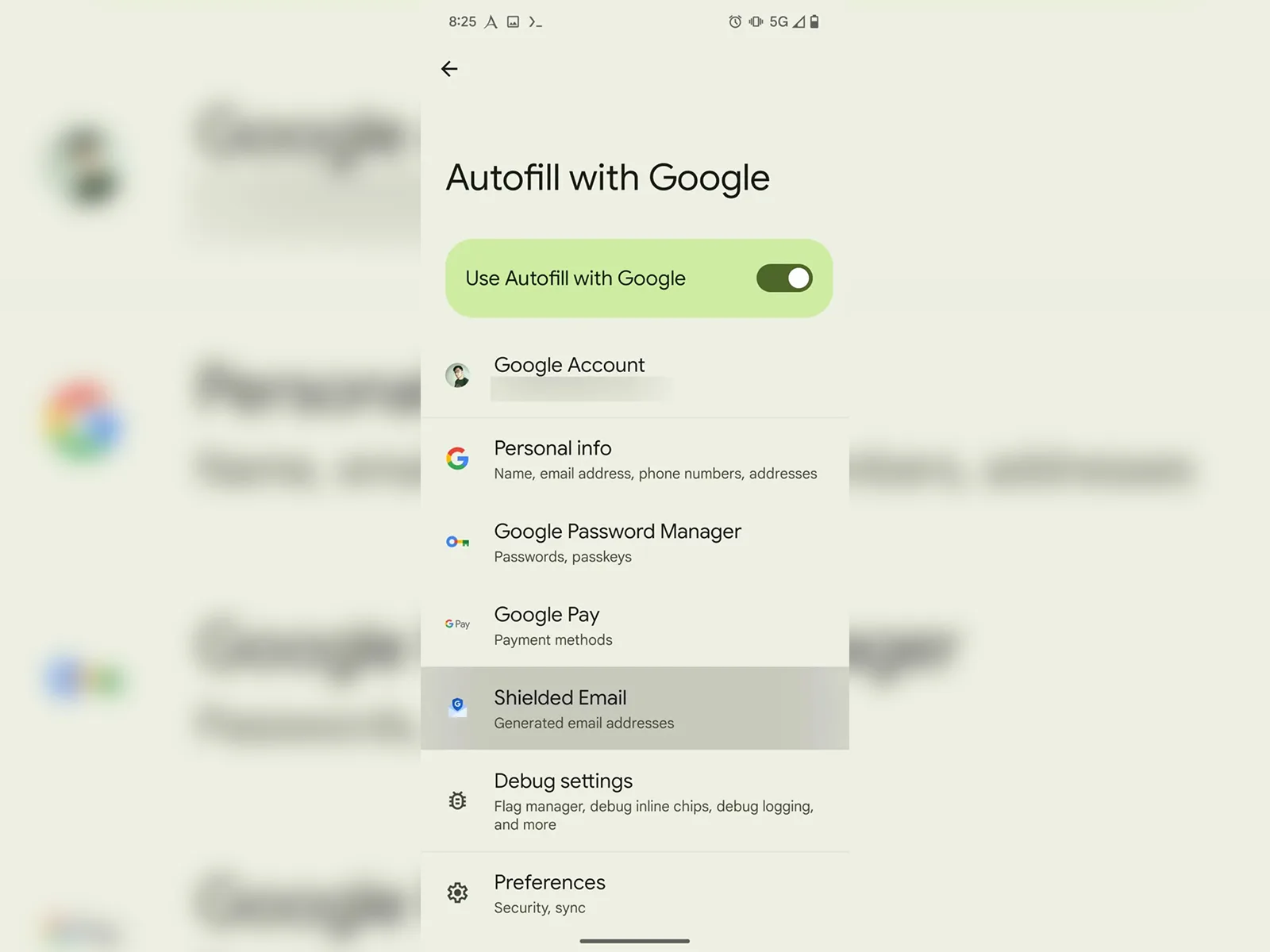 Google Gmail Shielded Email