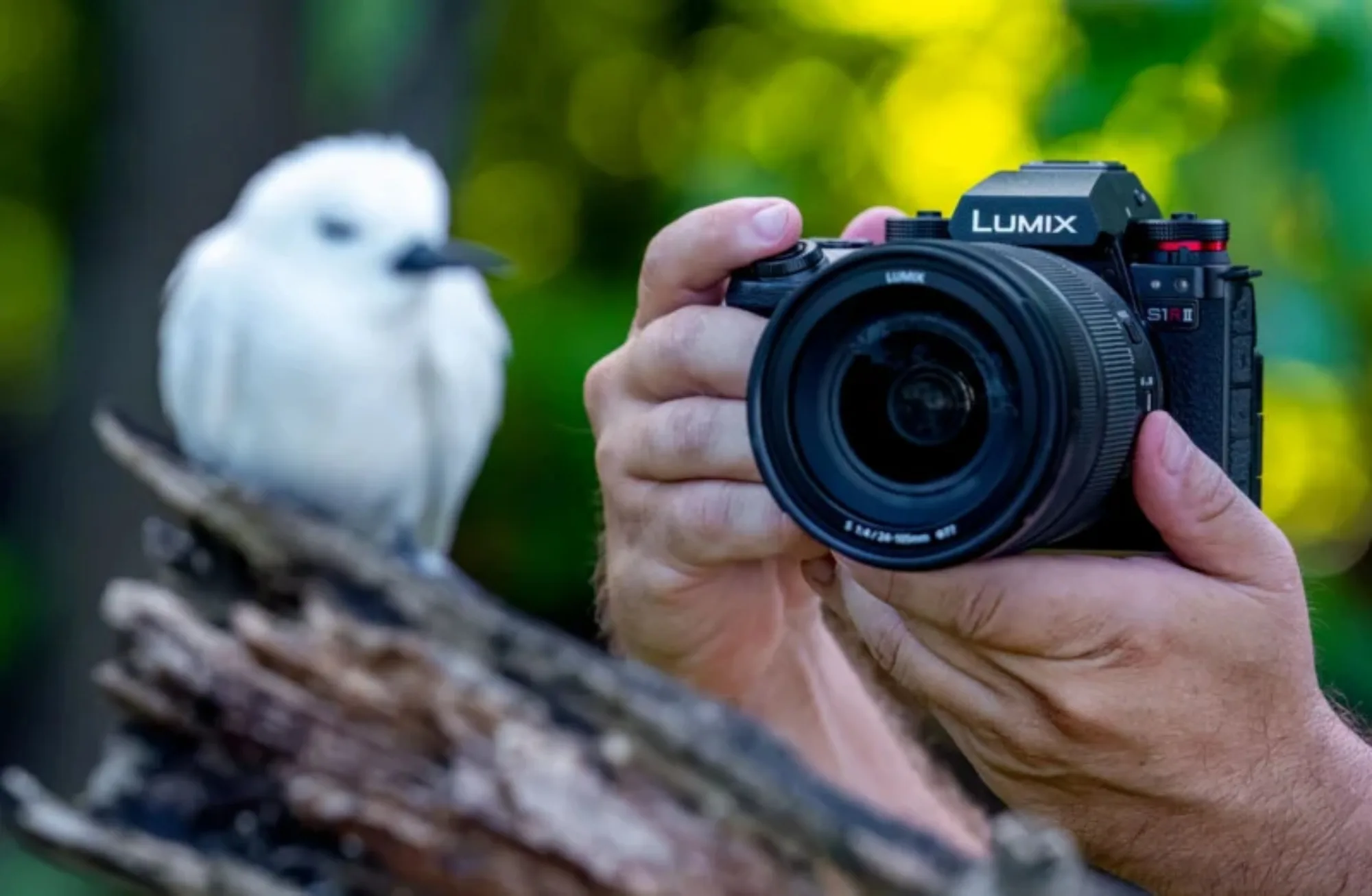 panasonic_lumix_s1rii