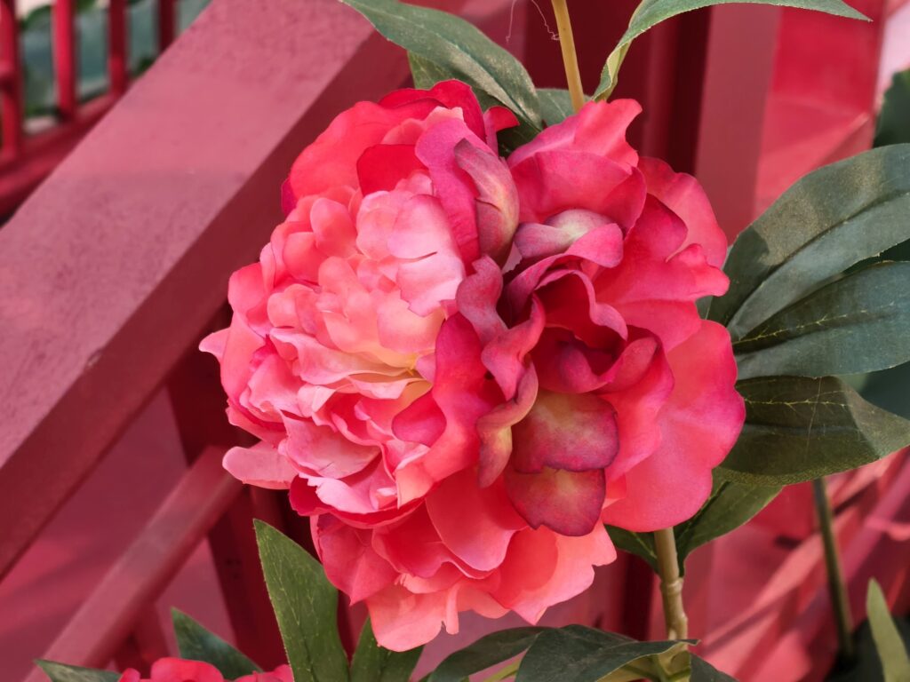 OPPO Reno13 Pro sample 6