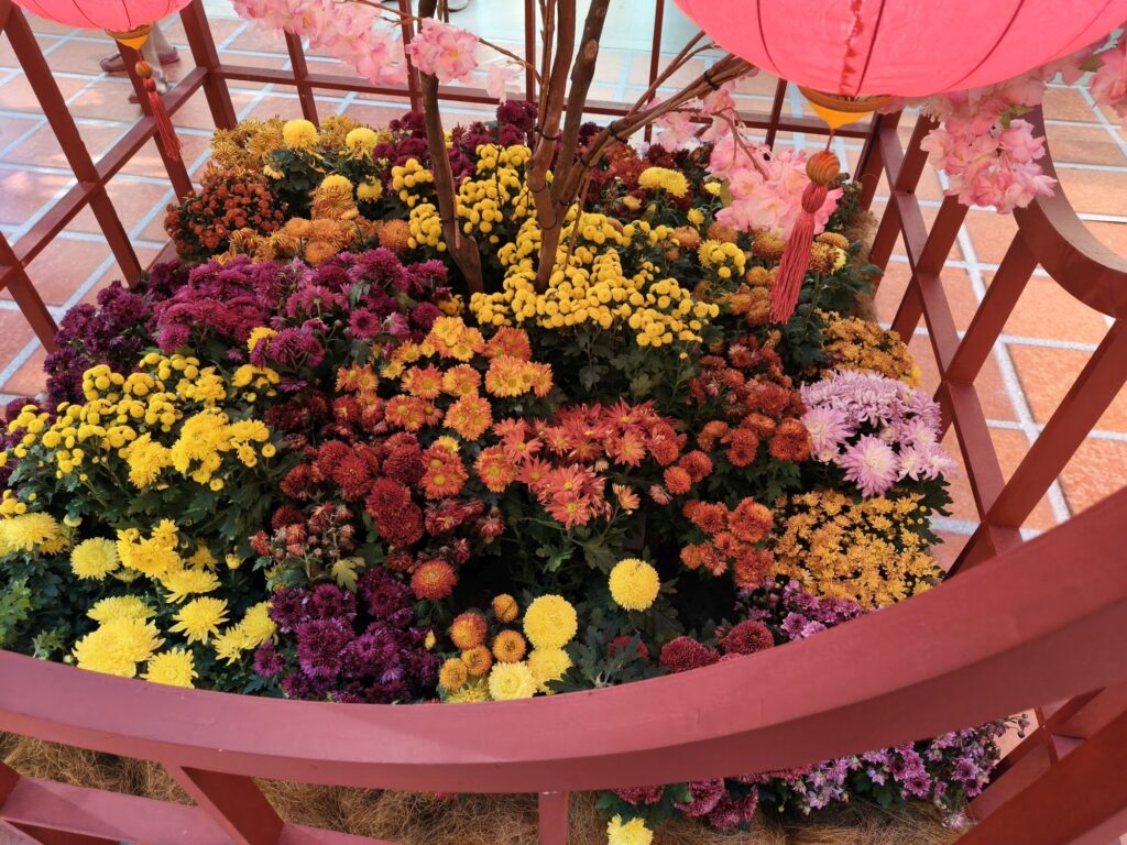OPPO Reno13 Pro sample 7
