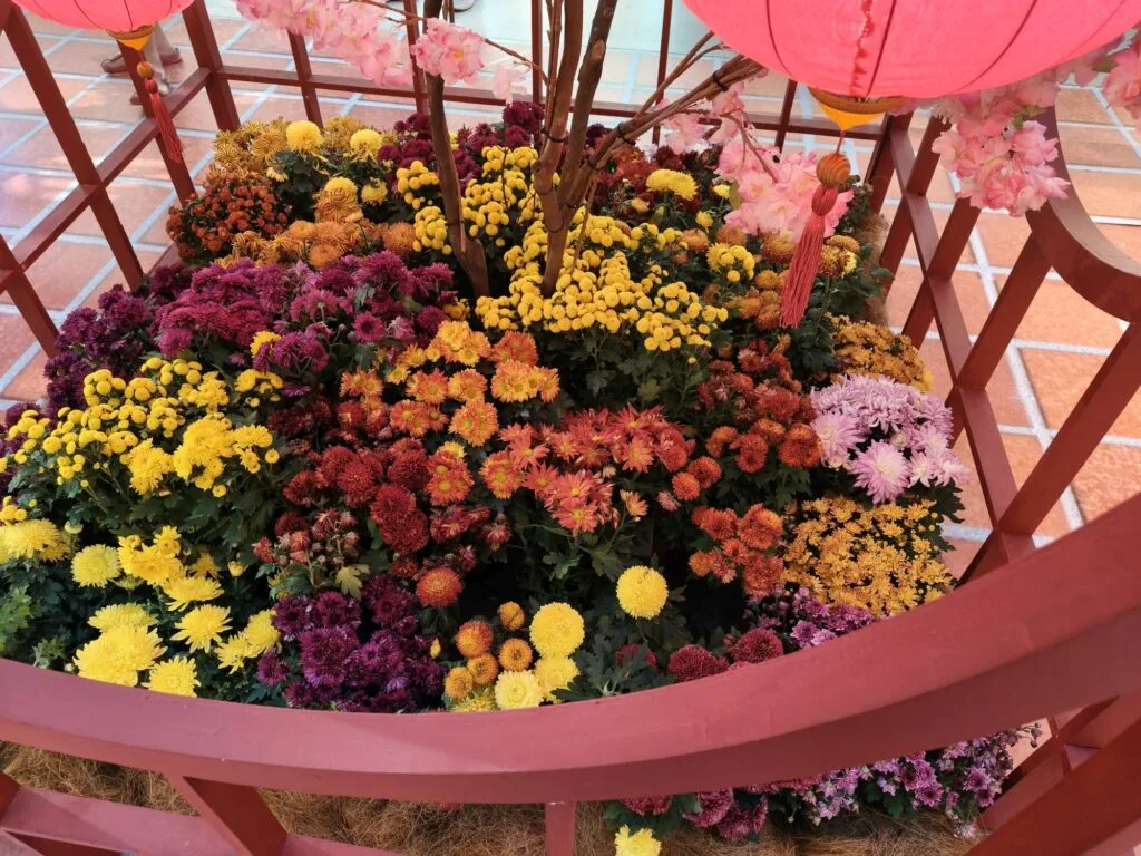 OPPO Reno13 Pro sample 7