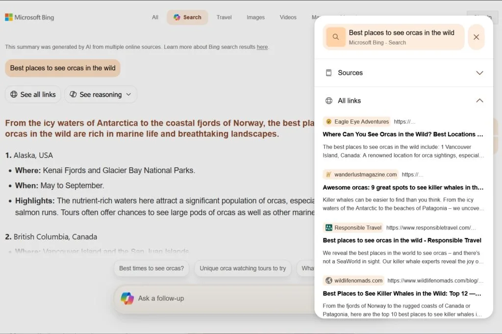 Microsoft Copilot Search result