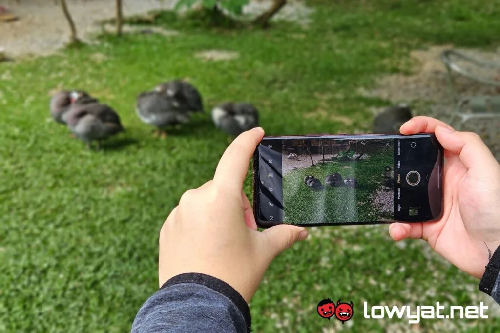 vivo V50 review camera in hand 2