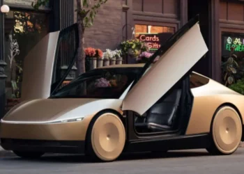 Tesla Robotaxi