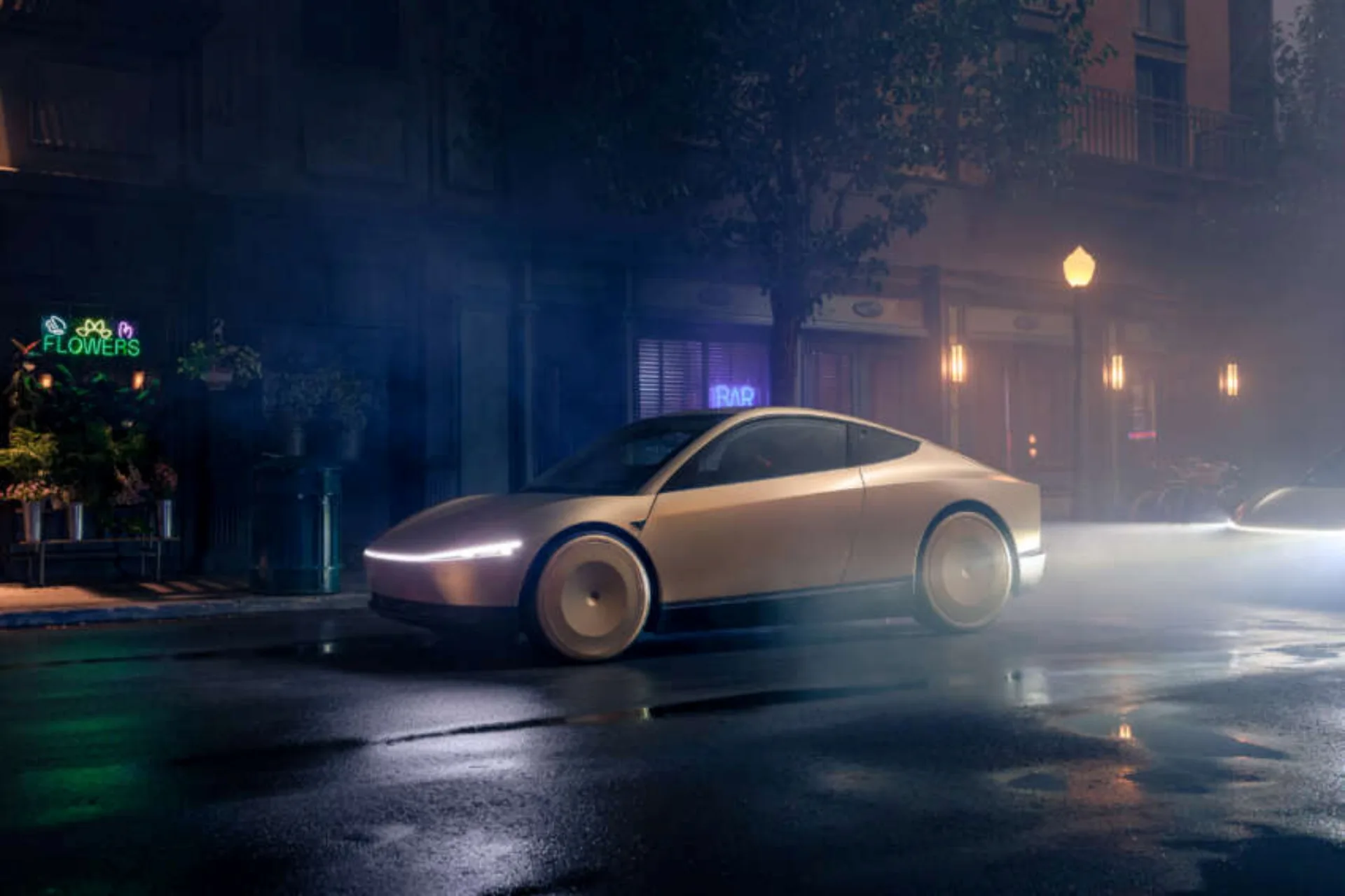 Tesla Robotaxi