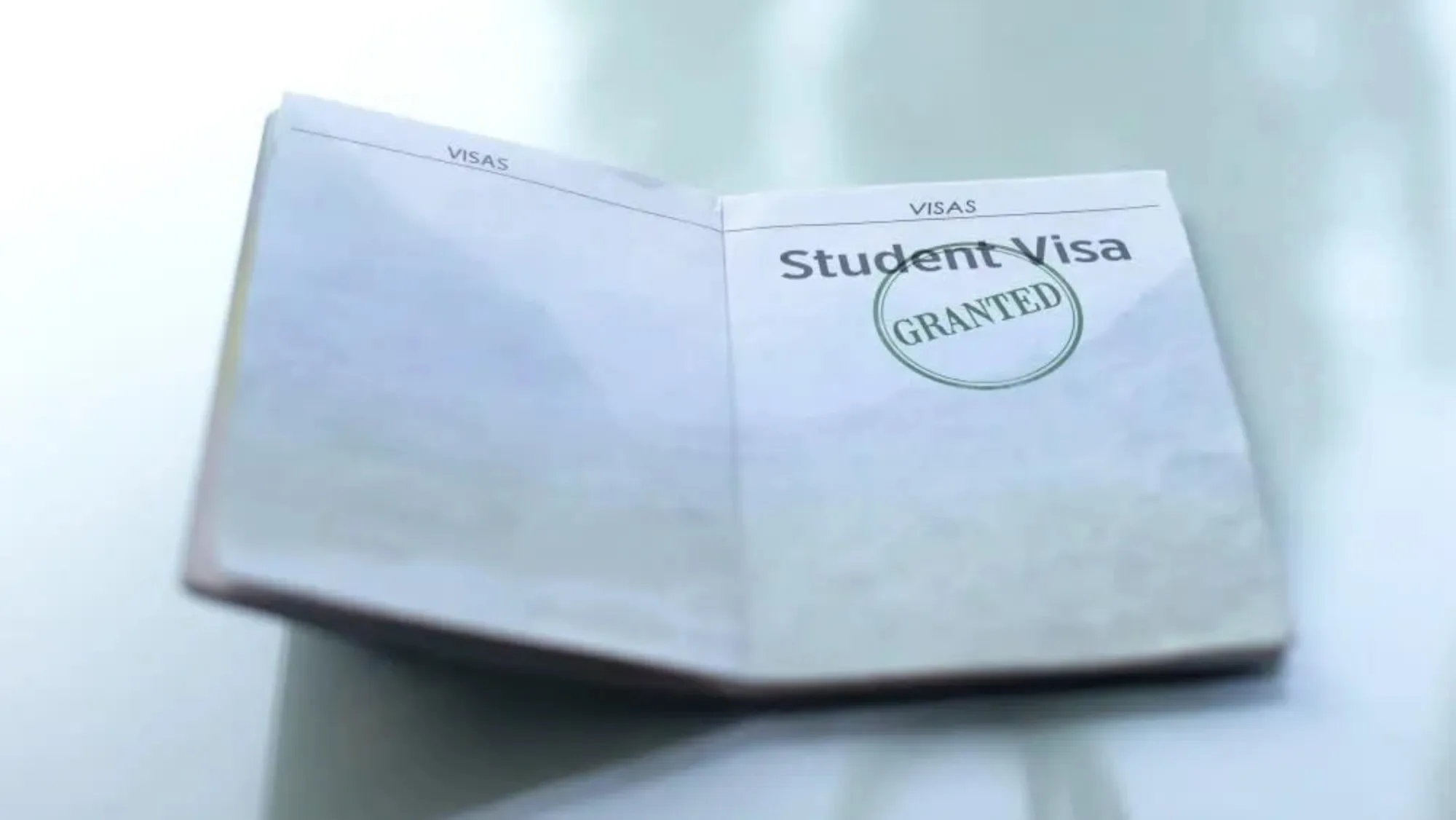 us reportedly halts student visa processing