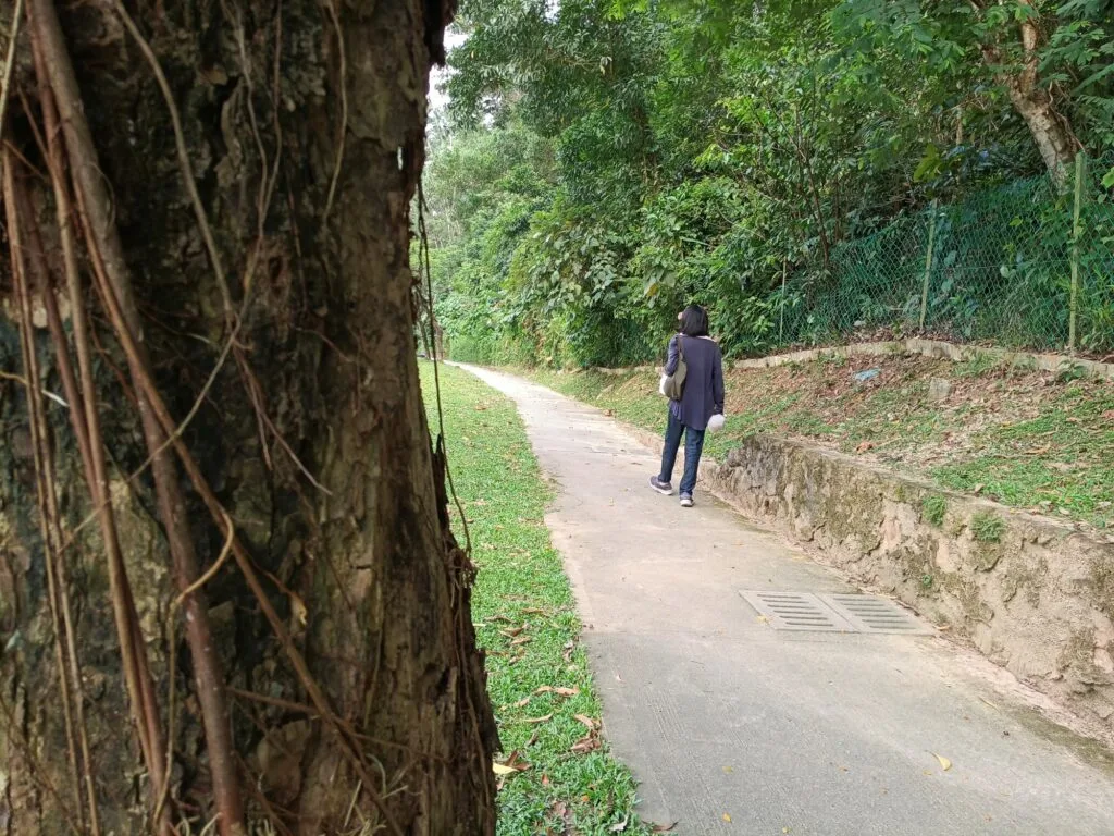 vivo V50 Lite sample image