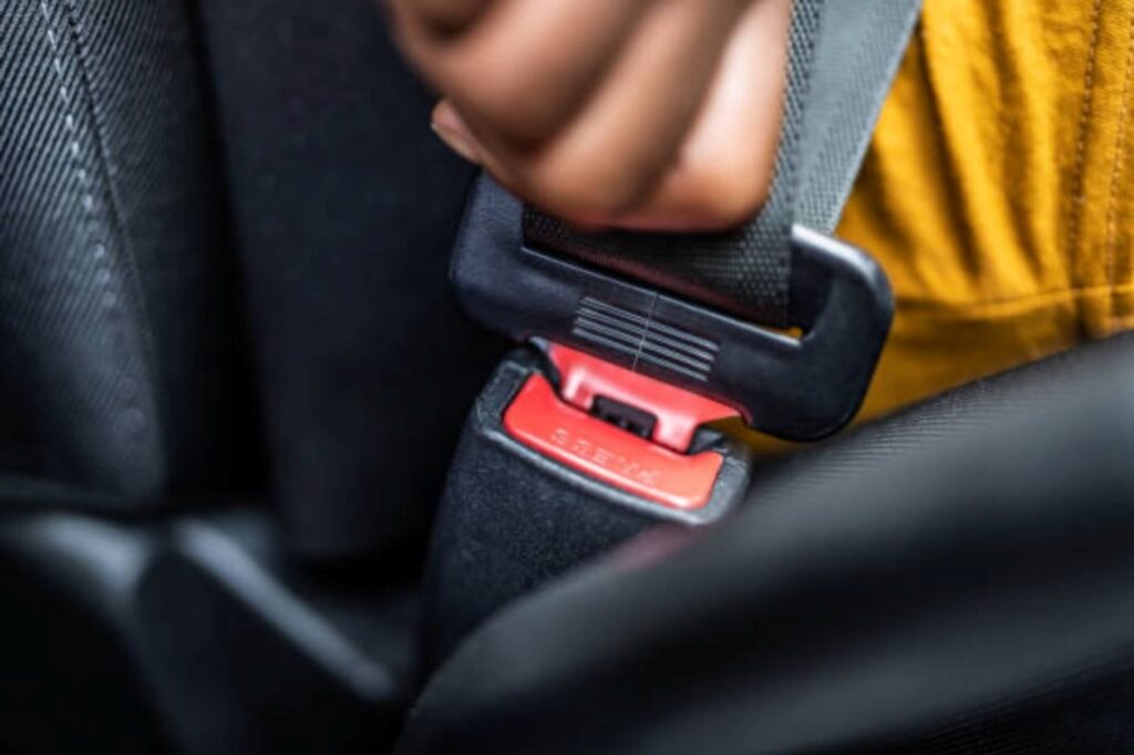 Seatbelts busses jpj